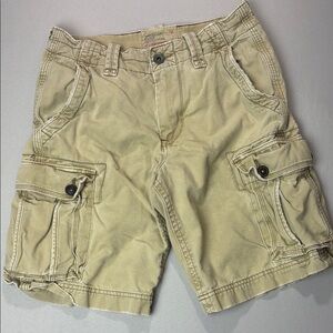 American Eagle Outfitters Men's Tan Cargo Shorts